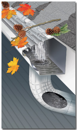 leaf solutions